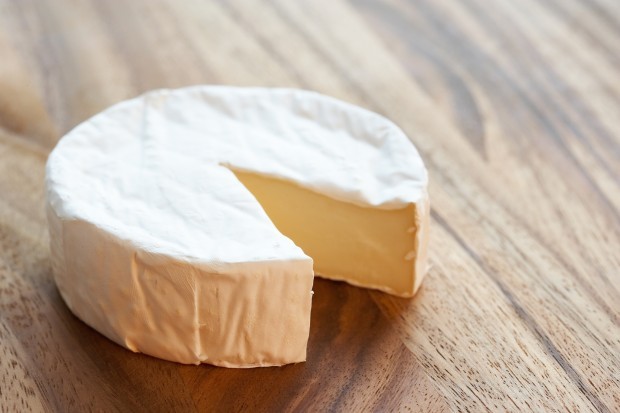 1214_brie cheese